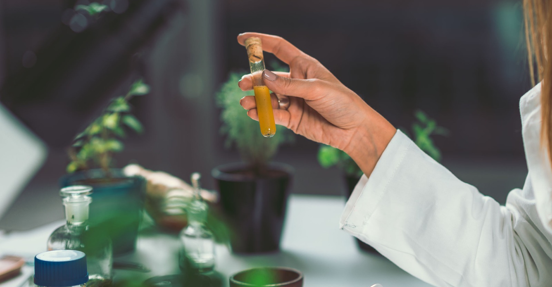 ¿Qué son las Terapias Naturales? Fundación